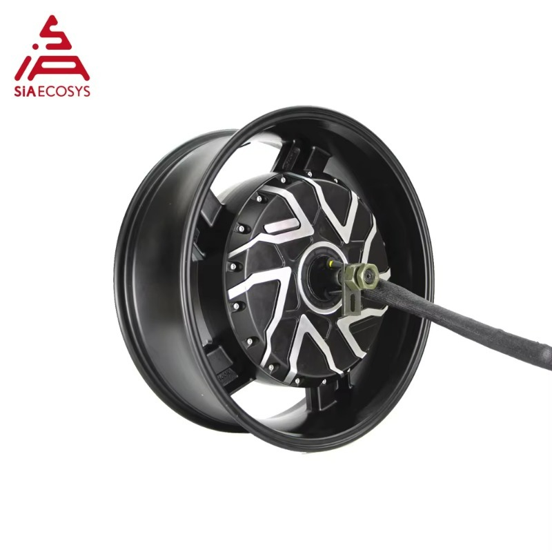 Motor de cubo de roda elétrico - 12000W Electric Motorcycle Hub Motor avaliação e preço