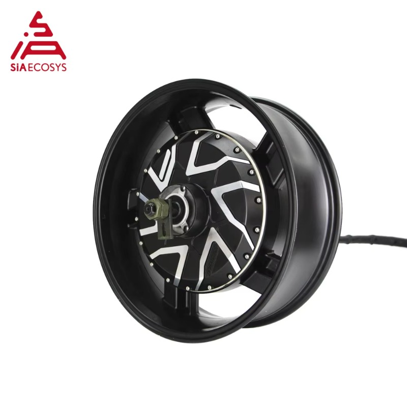 Motor de cubo de roda elétrico - 12000W Electric Motorcycle Hub Motor avaliação e preço